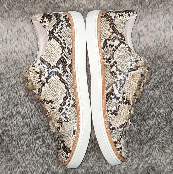 Zara Faux Python Lace Up Sneaker Women's 8 - Picture 9 of 12